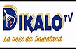 dik 1